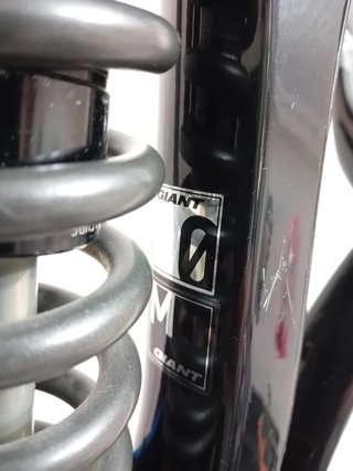 Bici DH Giant Glory 0 Advanced