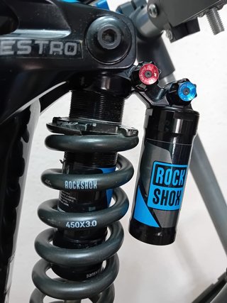 Bici DH Giant Glory 0 Advanced