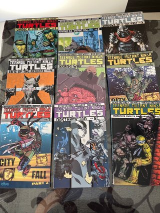 Teenage Mutant Ninja Turtles Change is constant