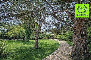 Chalet en venta en Molar (El)