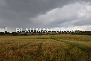 Casa rural en venta en Manacor Centro en Manacor