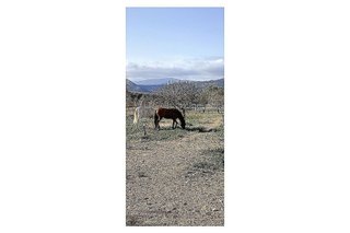 Casa rural en venta en Monóvar/Monòver