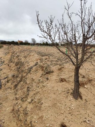 Terreno en venta en Villena
