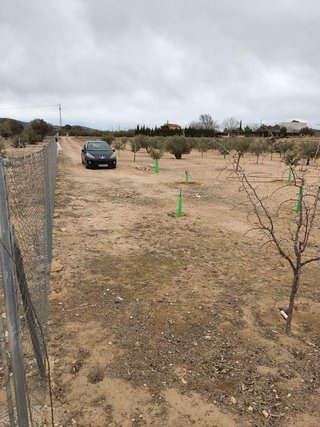 Terreno en venta en Villena