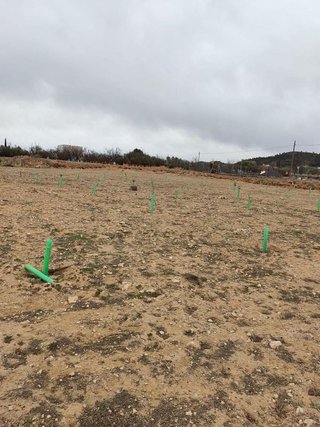 Terreno en venta en Villena