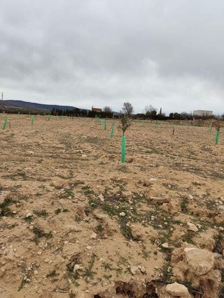 Terreno en venta en Villena