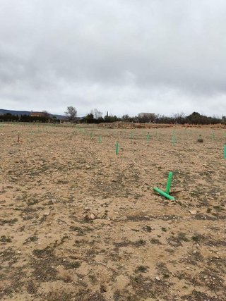 Terreno en venta en Villena