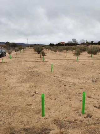 Terreno en venta en Villena