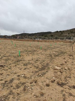 Terreno en venta en Villena