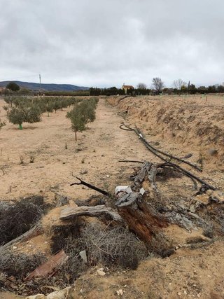 Terreno en venta en Villena