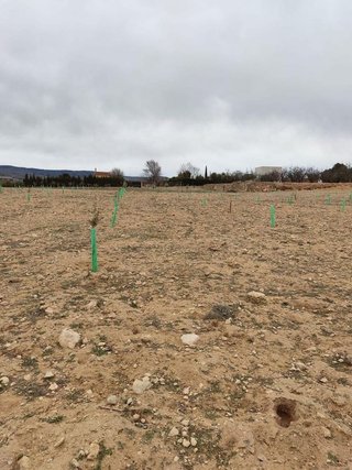 Terreno en venta en Villena