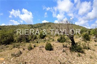 Terreno en venta en Son Servera