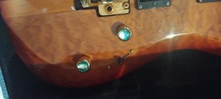Guitarra Eléctrica California