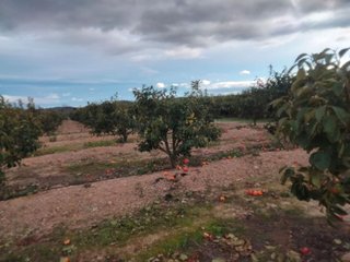 Terreno en venta en Casco Antiguo en Llíria