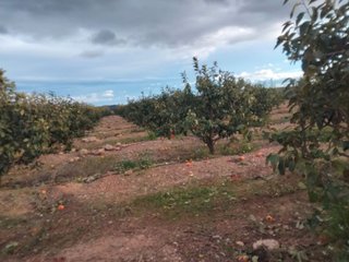 Terreno en venta en Casco Antiguo en Llíria