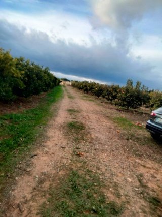 Terreno en venta en Casco Antiguo en Llíria