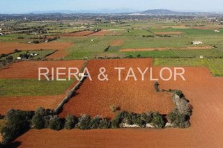 Terreno en venta en Felanitx