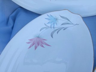 Fuentes de porcelana