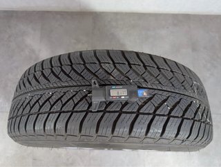 Llantas BMW Serie 2 Active Tourer 17" Originales