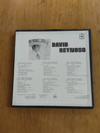 Vinilos David Reynoso Flamenco