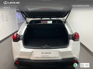 Lexus UX250H BUSINESS 2022 REF 7541