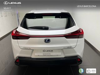 Lexus UX250H BUSINESS 2022 REF 7541