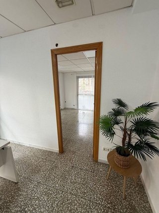 Oficina en alquiler en El Pla de Sant Josep - L'Asil en Elche