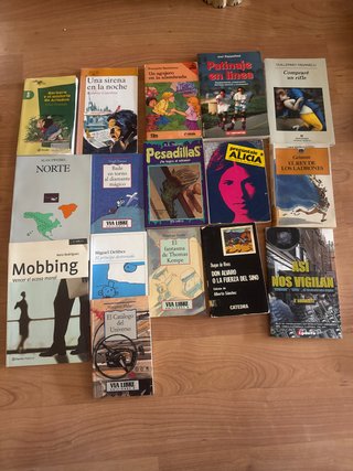 Colección de libros Juvenil