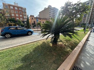 Local comercial en alquiler en Centro en Castellón de la Plana