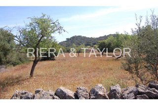 Terreno en venta en Felanitx