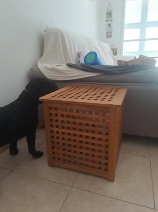 Mesa auxiliar HOL acacia 50x50 cm