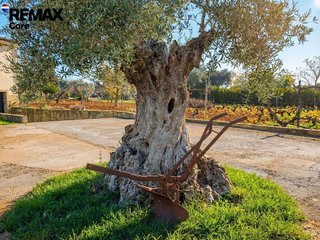 Chalet en venta en Las Vaguadas - Urb. del Sur en Badajoz