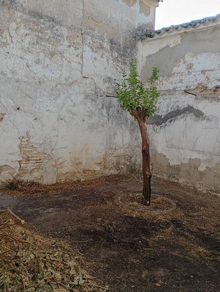 Casa adosada en venta en Fernán-Núñez