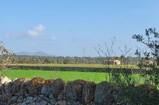 Terreno en venta en Campos