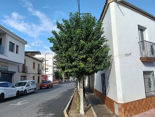 Casa adosada en venta en Villa del Río