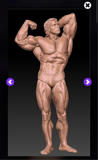Busto Arnold Schwarzenegger 25cm