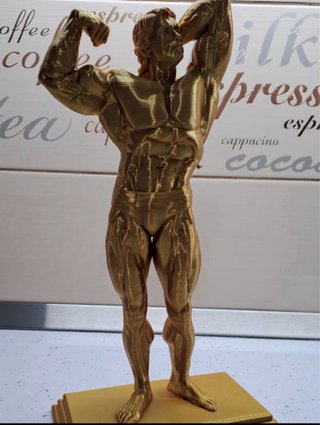 Busto Arnold Schwarzenegger 25cm