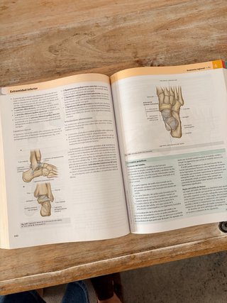 Gray, Anatomía para estudiantes
