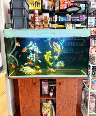 Acuario Pecera 350L con mesa y filtro