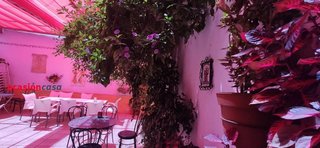 Local comercial en venta en Peñarroya-Pueblonuevo