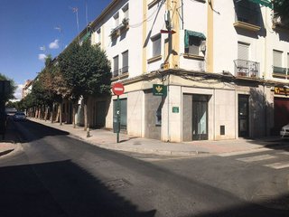 Local comercial en alquiler en Angustias - Chana - Encina en Granada