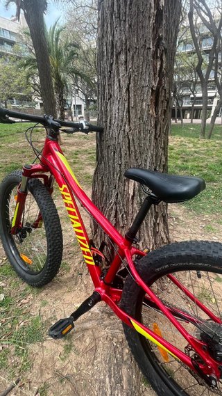 Specialized Riprock 24