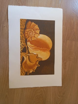 Lámina Xavier Serra La Pedrera 38x56,5cm
