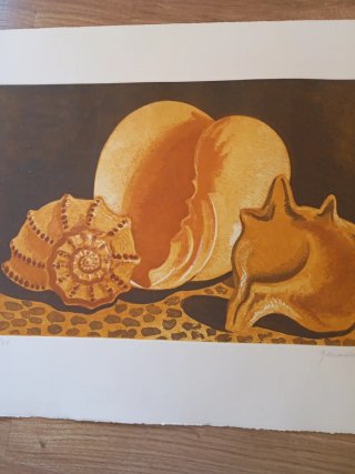 Lámina Xavier Serra La Pedrera 38x56,5cm