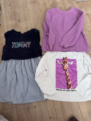 Lote Ropa Niña: Vestido y Jerseys