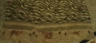 Foulard 4 tigri trasparente 160x100cm
