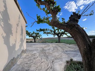 Chalet en alquiler en Vila-seca pueblo en Vila-Seca
