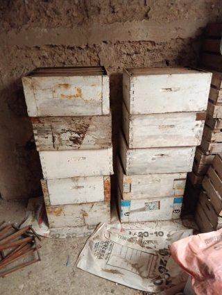 Cajas de colmenas apícolas
