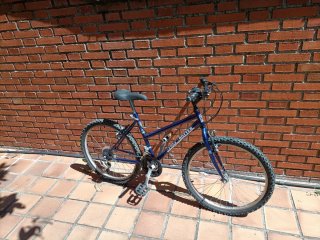 Bicicleta de Montaña Azul Globes Trotters