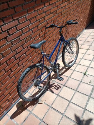 Bicicleta de Montaña Azul Globes Trotters